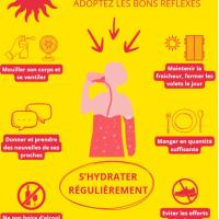 Affiche bons réflexe Canicule